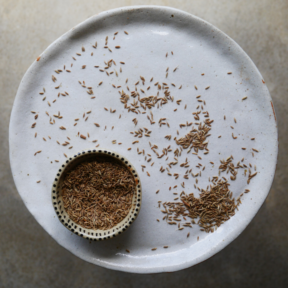 Organic Cumin Seeds - Love My Earth