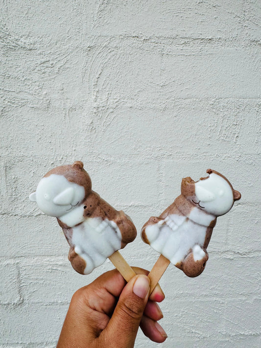 Chocolate Bone Broth Ice Pops (Dairy Free, Gluten Free & 4 Ingredients)